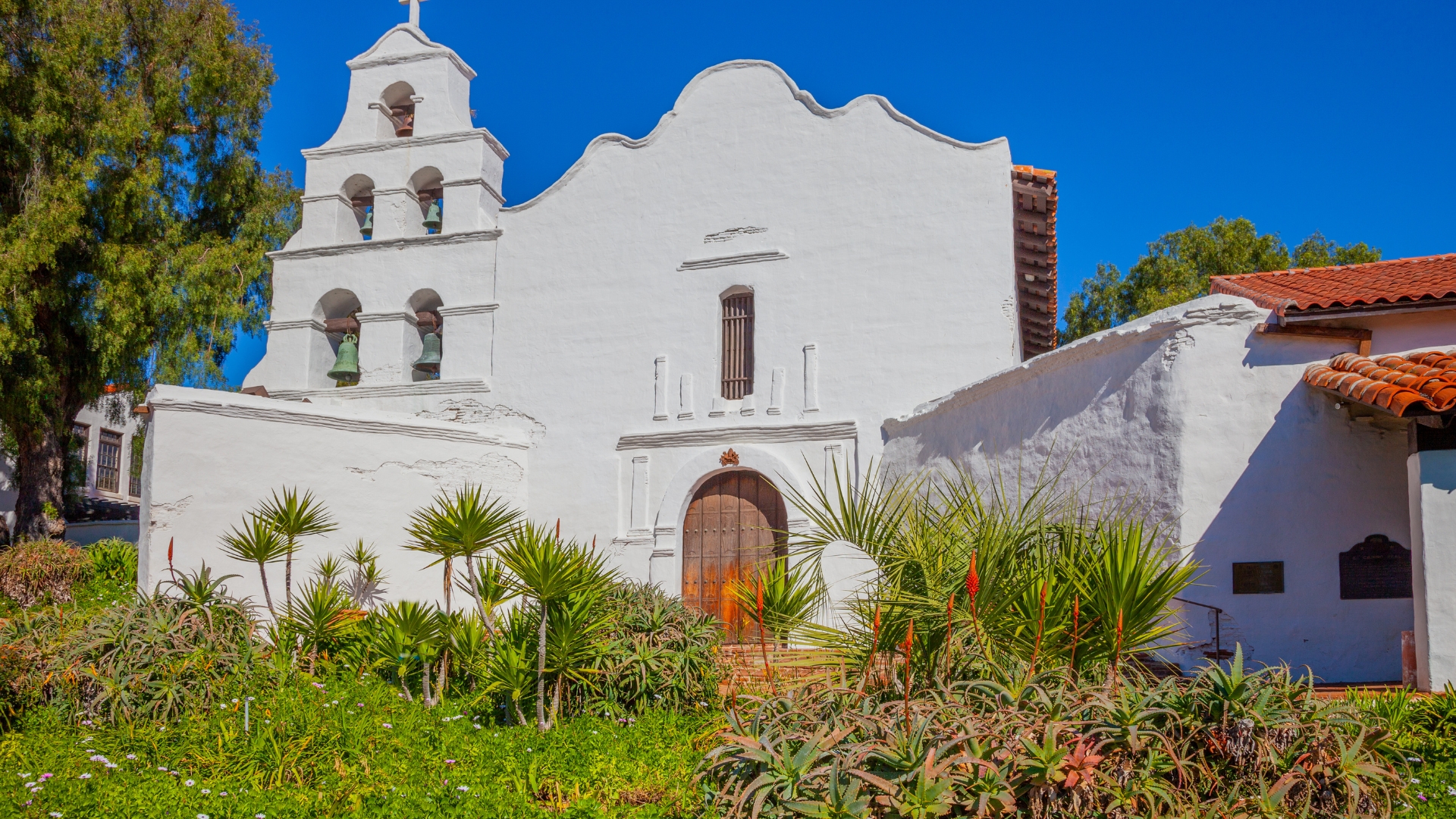 Oceanside neighborhood homes